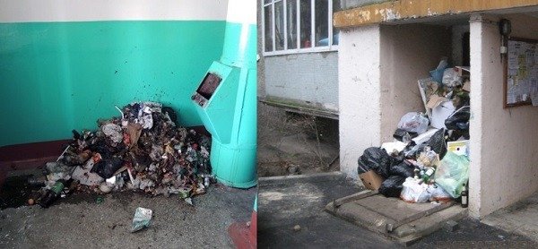 Небезпека тарганів для здоров'я людини: 5 основних хвороб