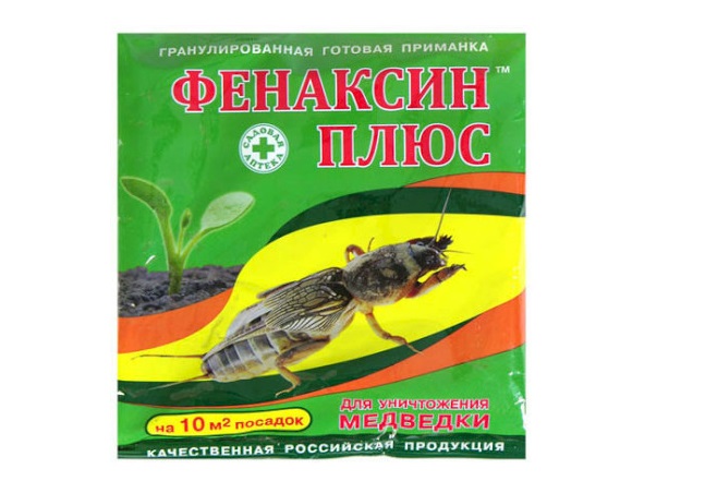 15 ефективних засобів у боротьбі з капустянкою