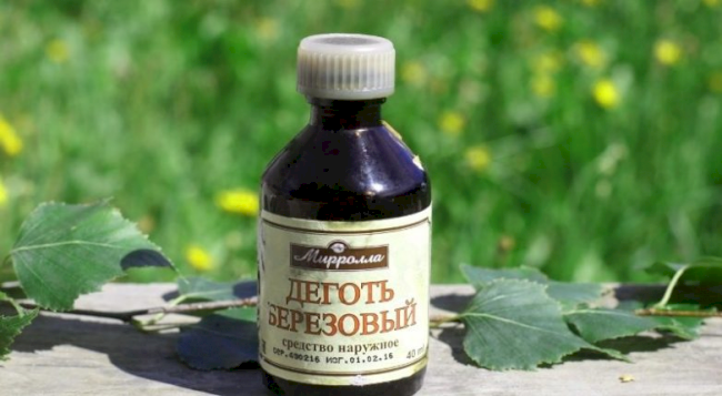 Обробка картоплі від дроту при посадці: рейтинг ефективних засобів