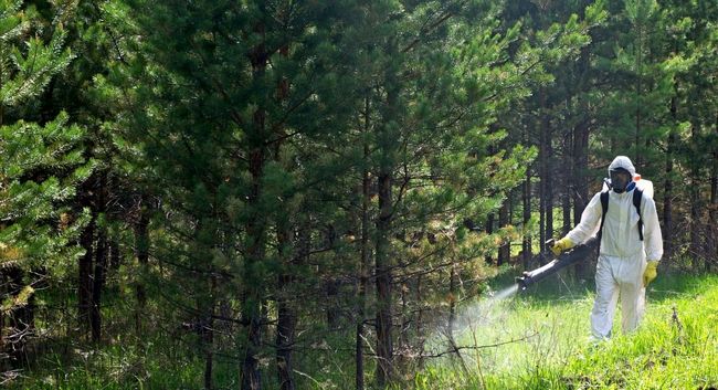 Найкращі препарати від кліщів