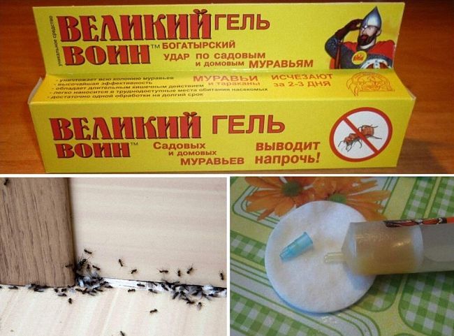 Чим вивести мурах з лазні