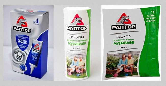 Чим отруїти мурах або мурашник