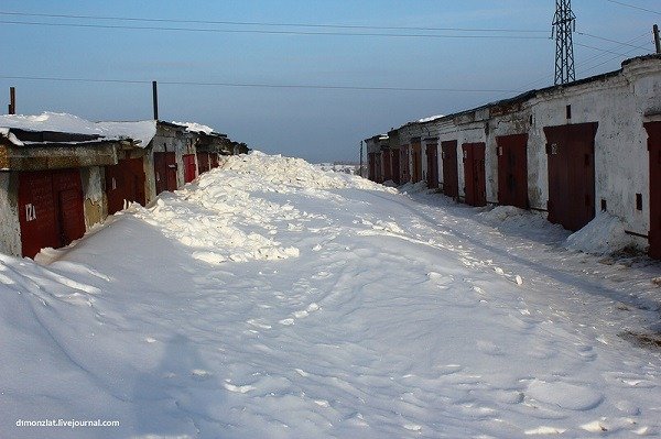 За якої температури гинуть постільні клопи?