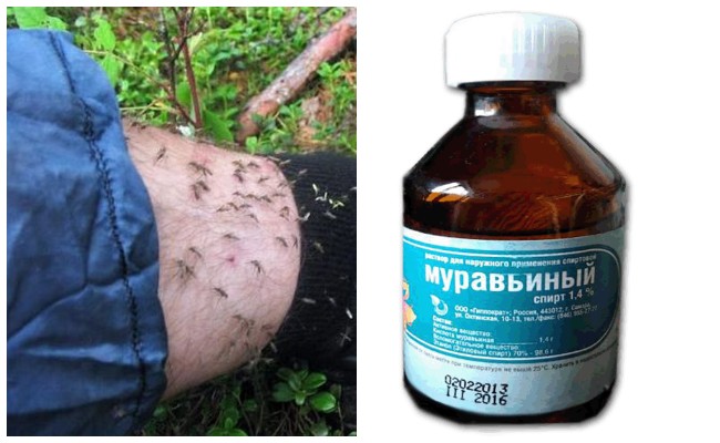 Як захиститися від мошок на природі: народні засоби своїми руками
