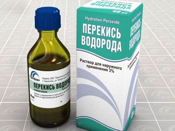 Як слід правильно витягувати кліща у собаки?