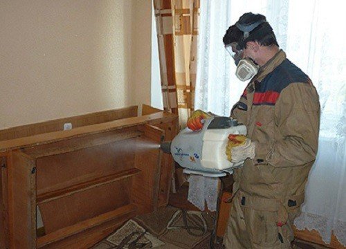 Дезінфекція від постільних клопів у квартирі