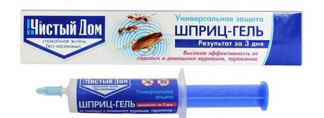 Як боротися з мурахами на фруктових деревах