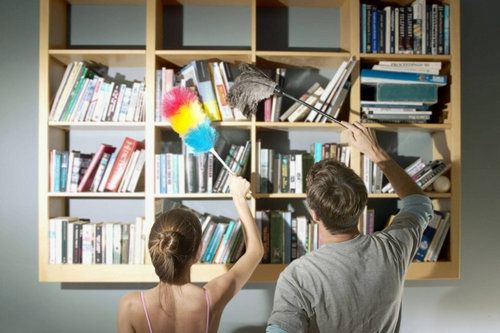 Як проводиться профілактика клопів у квартирі?
