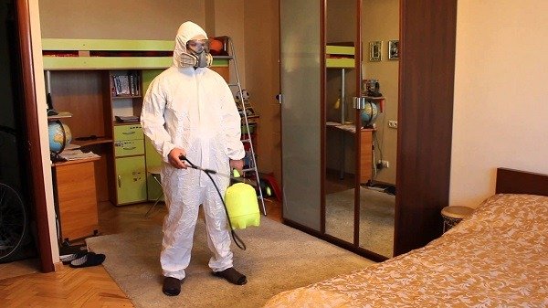 Як ефективно боротися з тарганами