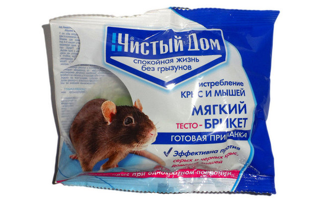 Чим цькувати щурів та мишей у домашніх умовах
