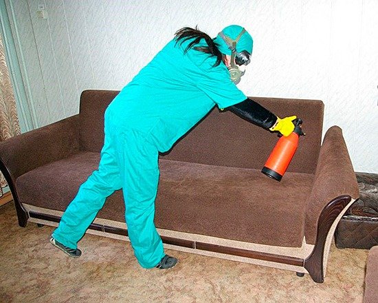Знищити клопів у квартирі: 5 ефективних способів