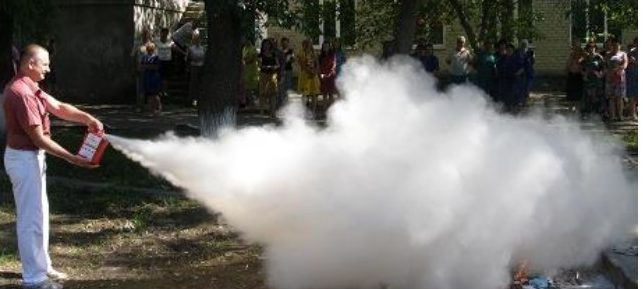 Найкращі способи боротьби з шершнями