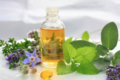 Виводимо клопів з дивана: 5 способів звільнення від клопів