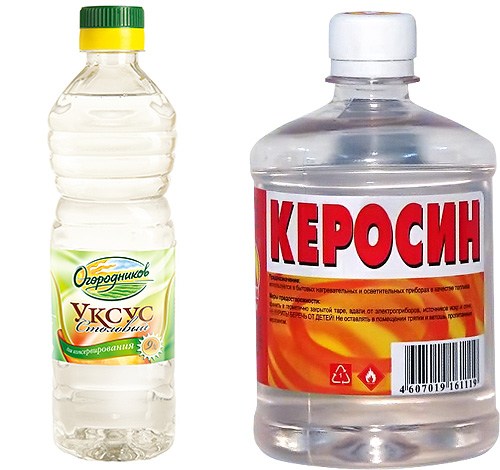 Як позбутися вошей народними способами?