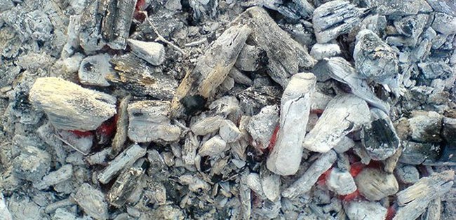 Боротьба з білокрилкою у відкритому ґрунті: позбавляємося комахи назавжди