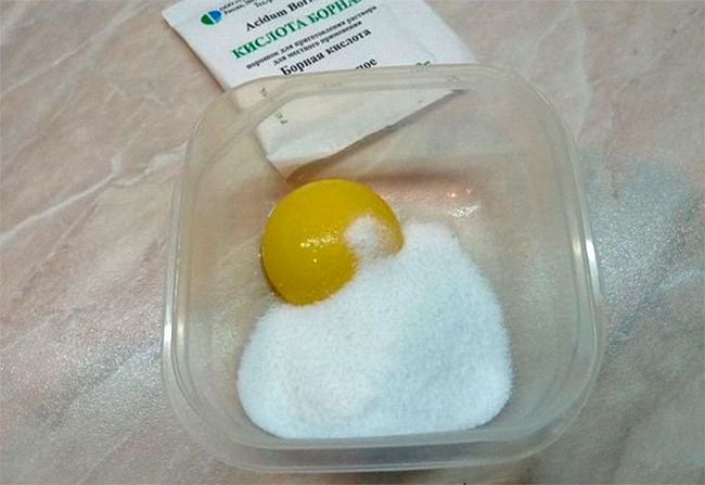 Способи боротьби з мурашками в будинку