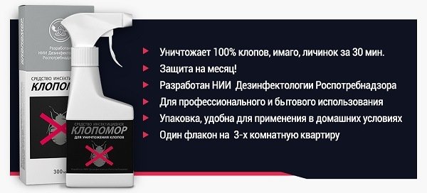 Як вбити клопів у домашніх умовах?