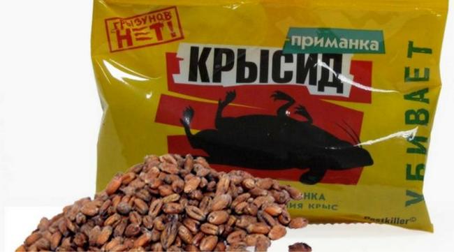 Усі способи боротьби з щурами в курнику