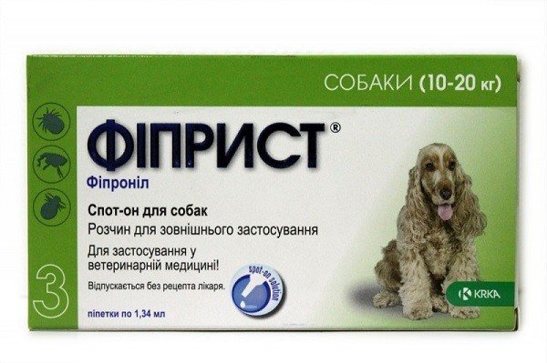 Чим обробити собаку від кліщів: 15 кращих засобів