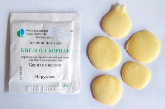 Як правильно труїти тарганів у квартирі?