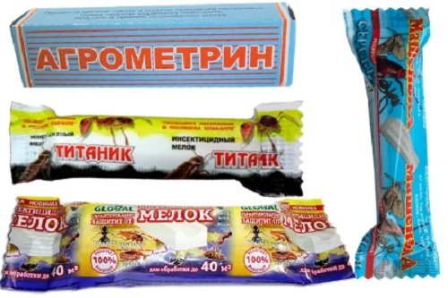 Як позбутися клопів у квартирі &ndash; самостійно і назавжди