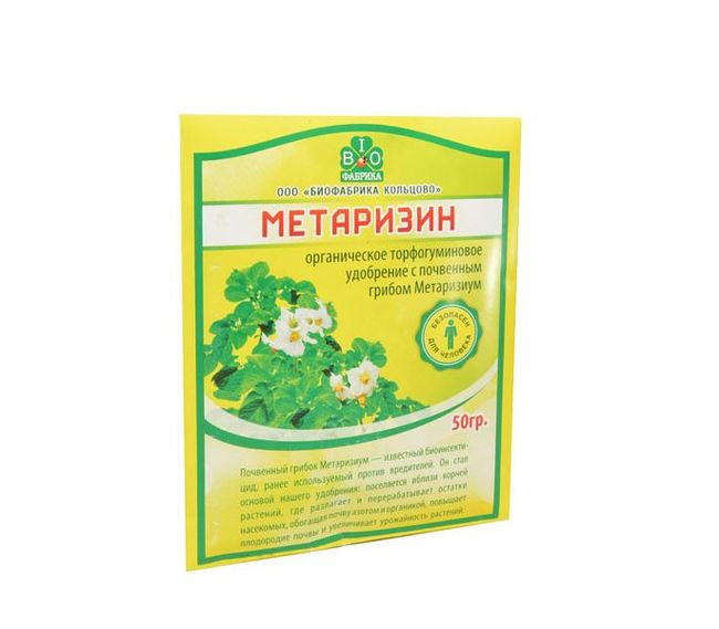 Чим обробити землю від дротяника: найефективніші препарати для відкритого ґрунту та теплиці