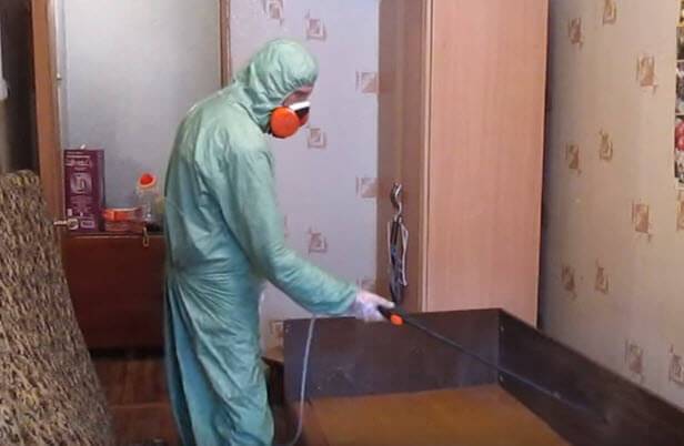 Чи можна позбутися клопів парогенератором і пароочисником?