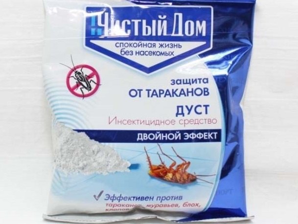 Звідки з'являються мурахи у квартирі та як з ними боротися?