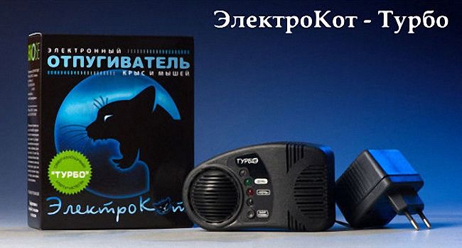 Як ефективно боротися з пацюками у приватному будинку
