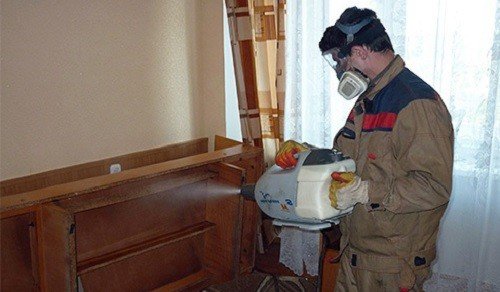 Знищення клопів гарячим та холодним туманом