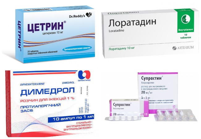 Що робити, якщо вихованця покусали бджоли