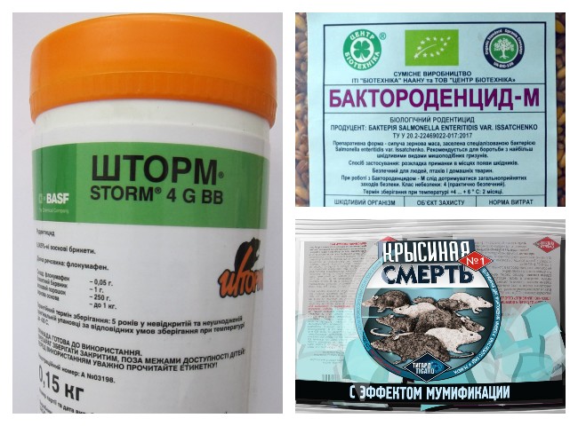 Причини появи мишей у будинках