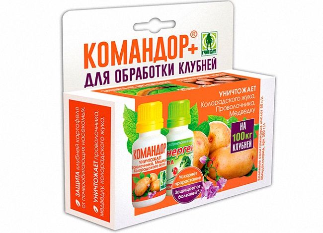Як правильно використовувати засіб Командор проти колорадського жука