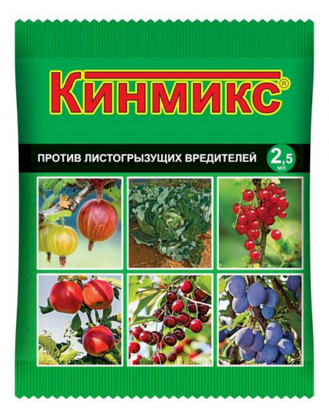 Вивести попелиці на вишні &ndash; препарати та народні засоби