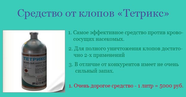 Дезінфекція від постільних клопів у квартирі