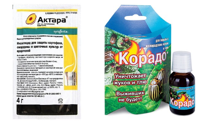 Як правильно розводити та використовувати препарат Жукоєд проти колорадського жука