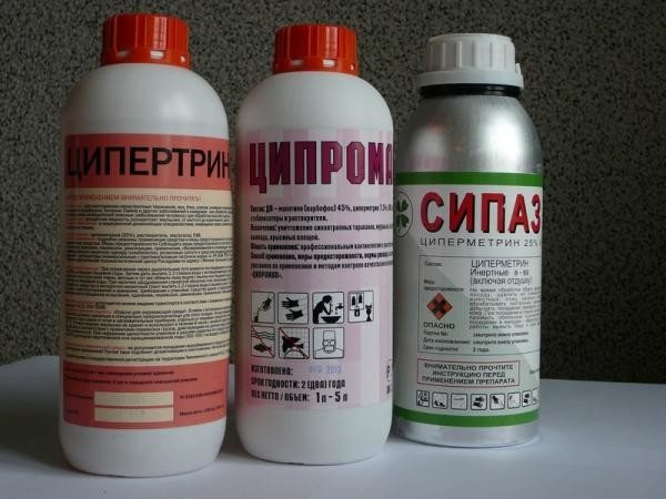 Спрей від бліх у квартирі: огляд ефективних засобів