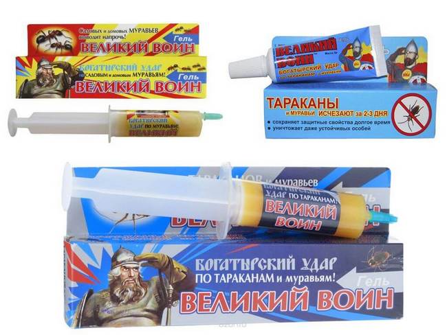 Як боротися з мурахами на фруктових деревах