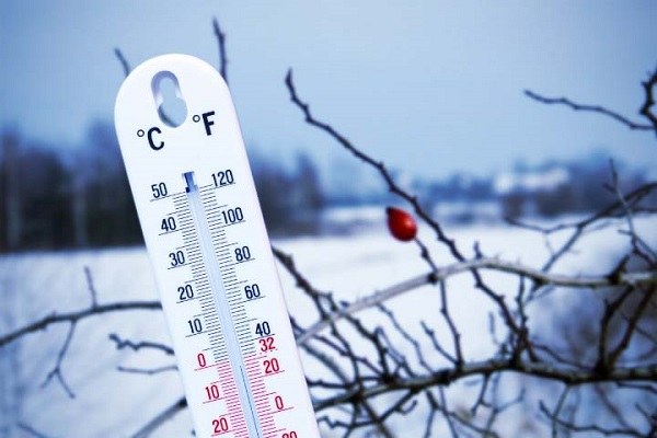 Боротьба з тарганами у квартирі