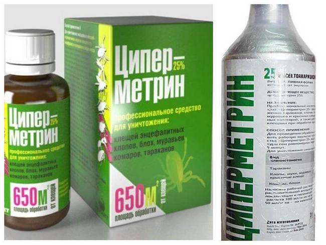 Що не люблять блохи і який запах їх відлякує