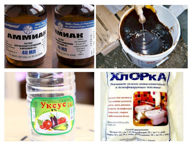 Чим відлякувати мишей: 12 ефективних засобів