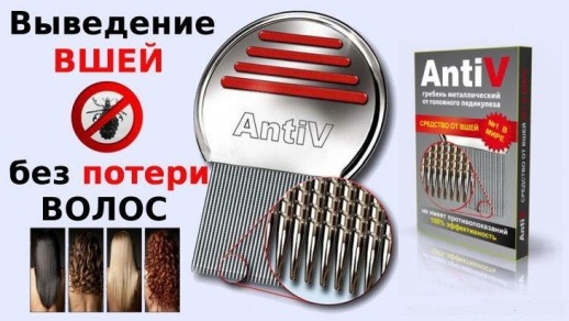 Профілактика вошей у дітей та дорослих
