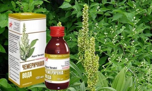 Як вивести вошей і гнід швидко і назавжди