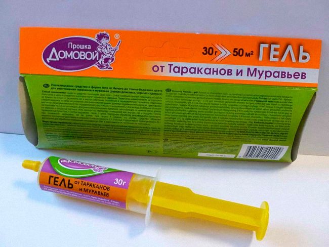 20 способів боротьби з мурахами в приватному будинку та квартирі