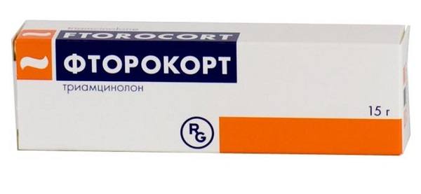 Яким чином клопи кусають людину і як уберегтися від укусів