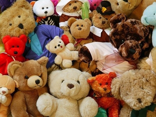 Де ховаються клопи у квартирі та як їх виявити?