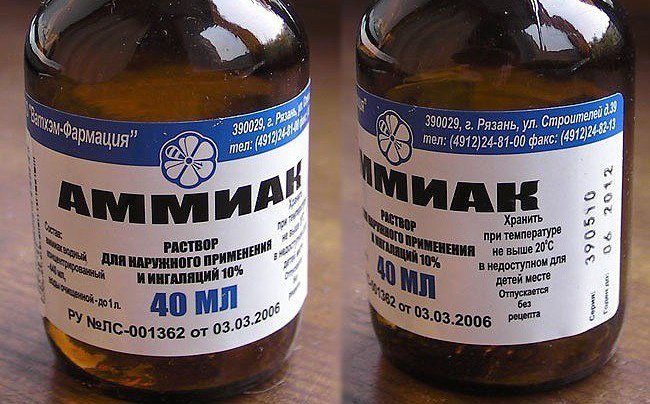 Як ефективно боротися з тарганами