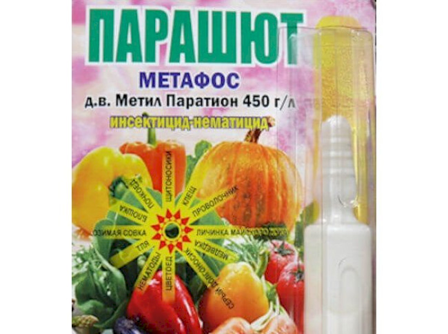 15 ефективних засобів у боротьбі з капустянкою