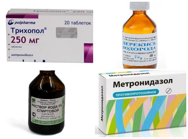 Як позбутися попелиці на деревах і чагарниках на садовій ділянці