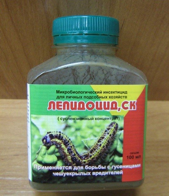 Як боротися з картопляною міллю